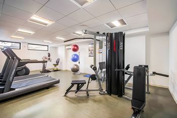 A gym with a treadmill, weights, and exercise balls.